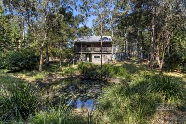 House For Sale - QLD - Bauple - 4650 - A HIDDEN SANCTUARY IN BAUPLE (Image 2)