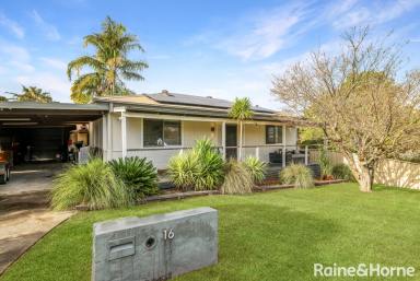 House For Sale - NSW - Bomaderry - 2541 - Big Block, Big Shed, Endless Possibilities  (Image 2)