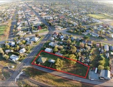 House For Sale - NSW - Temora - 2666 - Tree Change, Large Block, Walking Distance to CBD  (Image 2)