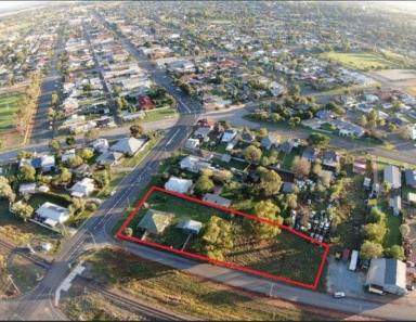 House For Sale - NSW - Temora - 2666 - Tree Change, Large Block, Walking Distance to CBD  (Image 2)