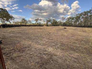 Lifestyle For Sale - QLD - Westwood - 4702 - Ultimate Country Block,16 Acres of Level Fertile Productive Land with Large Shed and Horse Complex (Image 2)