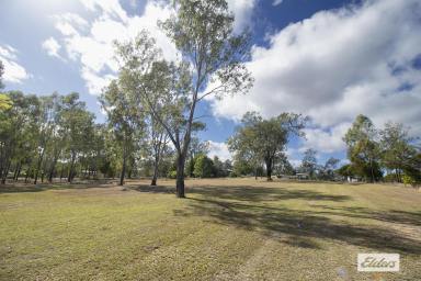 Residential Block For Sale - QLD - Kensington Grove - 4341 - Established Acreage Waiting for a BUILD!  (Image 2)