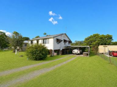 House For Sale - QLD - Tully - 4854 - Tully Central  (Image 2)