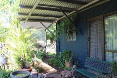 House For Sale - NT - Batchelor - 0845 - This has all the right ingredients! (Image 2)