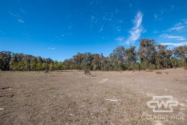 Lifestyle For Sale - NSW - Torrington - 2371 - 22 Acres of Endless Potential  (Image 2)