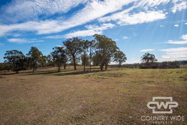 Lifestyle For Sale - NSW - Torrington - 2371 - 22 Acres of Endless Potential  (Image 2)