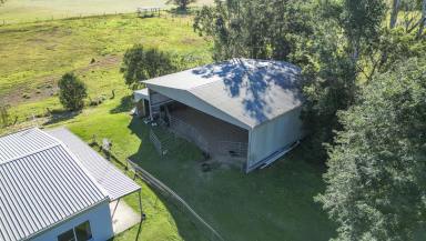Cropping For Sale - NSW - Grafton - 2460 - THE COMPLETE RURAL PACKAGE - DUAL LIVING, EQUESTRIAN FACILITIES AND PREMIUM GRAZING 5 MINUTES FROM GRAFTON CBD (Image 2)