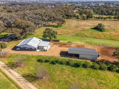 House For Sale - NSW - Young - 2594 - All the Work is Done  (Image 2)