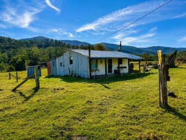 Livestock For Sale - VIC - Combienbar - 3889 - 20.9ha Riverfront Farm with Quality Infrastructure & Livestock (Image 2)