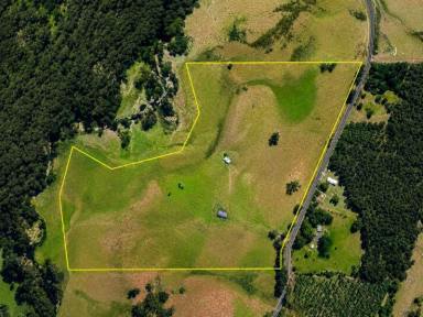 Livestock For Sale - VIC - Combienbar - 3889 - 20.9ha Riverfront Farm with Quality Infrastructure & Livestock  (Image 2)
