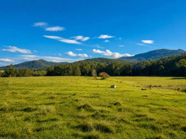 Livestock For Sale - VIC - Combienbar - 3889 - 20.9ha Riverfront Farm with Quality Infrastructure & Livestock  (Image 2)