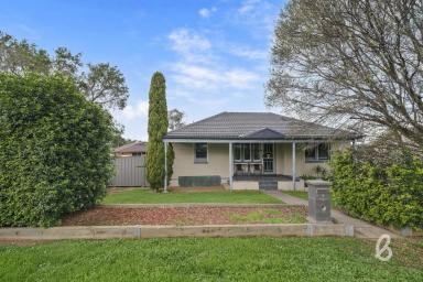 House For Sale - NSW - Singleton - 2330 - Ideal First Home or Investment in Convenient Singleton Heights Location (Image 2)
