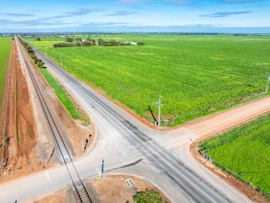 Horticulture For Sale - SA - Korunye - 5502 - EXCEPTIONAL DEVELOPMENT AND LAND BANKING OPPORTUNITY (Image 2)