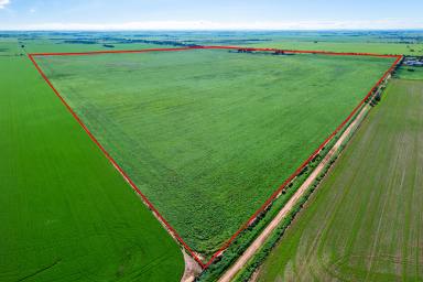 Horticulture For Sale - SA - Korunye - 5502 - EXCEPTIONAL DEVELOPMENT AND LAND BANKING OPPORTUNITY (Image 2)