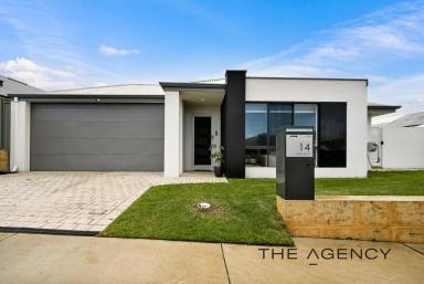 House For Sale - WA - Wellard - 6170 - A HOME DESIGNED FOR THE WAY YOU ACTUALLY LIVE! (Image 2)