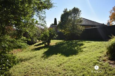 Residential Block For Sale - VIC - Beechworth - 3747 - Dream Big on this Prime Land in Beechworth!  (Image 2)