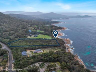 Residential Block For Sale - TAS - Bicheno - 7215 - A Rare Waterfront Sanctuary in Bicheno  (Image 2)