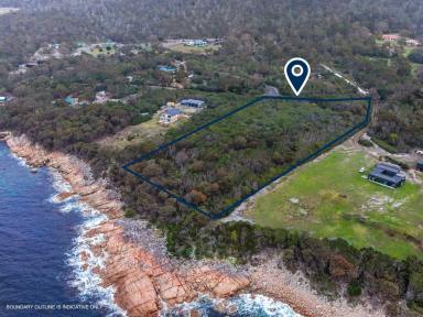 Residential Block For Sale - TAS - Bicheno - 7215 - A Rare Waterfront Sanctuary in Bicheno  (Image 2)