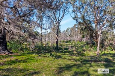 Residential Block For Sale - VIC - Pomonal - 3381 - Building Allotment in Picturesque Pomonal  (Image 2)