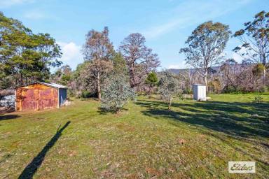 Residential Block For Sale - VIC - Pomonal - 3381 - Building Allotment in Picturesque Pomonal  (Image 2)