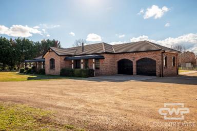 Acreage/Semi-rural For Sale - NSW - Glen Innes - 2370 - Luxury, Space & Endless Possibilities  (Image 2)