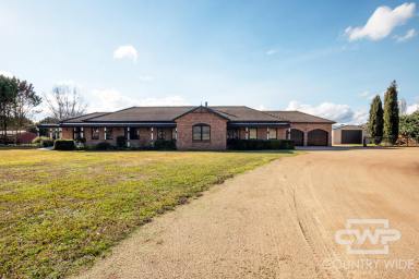 Acreage/Semi-rural For Sale - NSW - Glen Innes - 2370 - Luxury, Space & Endless Possibilities  (Image 2)