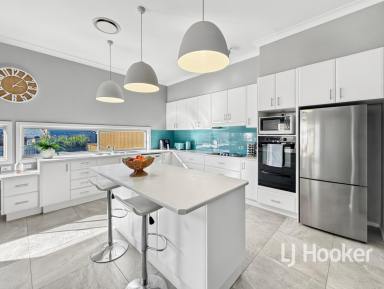 House For Sale - NSW - Inverell - 2360 - Modern Family Living on Ross Hill (Image 2)