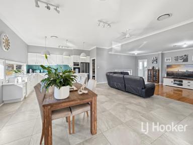 House For Sale - NSW - Inverell - 2360 - Modern Family Living on Ross Hill (Image 2)