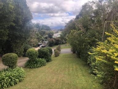 House Leased - NSW - Bellingen - 2454 - Peaceful 2 Bedroom Home + Office in North Bellingen (Image 2)