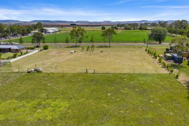 Residential Block For Sale - QLD - Clifton - 4361 - VACANT RESIDENTIAL BLOCK (Image 2)