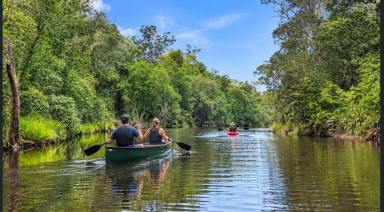 Studio For Sale - QLD - Tiaro - 4650 - 1013 acres with 3km creek boundary (Image 2)