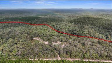 Studio For Sale - QLD - Tuan Forest - 4650 - 1013 Acre Forested Retreat (Image 2)