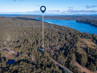 Residential Block For Sale - TAS - Hastings - 7109 - A Rare Rural Escape with Endless Potential (Image 2)