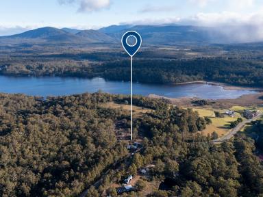 Residential Block For Sale - TAS - Hastings - 7109 - A Rare Rural Escape with Endless Potential (Image 2)