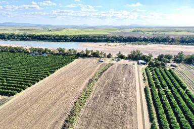 Other (Rural) For Sale - QLD - Kirknie - 4806 - 19.62 Acres - Burdekin River - House - Water - Machinery (Image 2)