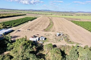 Other (Rural) For Sale - QLD - Kirknie - 4806 - 19.62 Acres - Burdekin River - House - Water - Machinery (Image 2)
