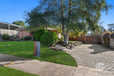 House Sold - VIC - Somerville - 3912 - The Backyard Hero  (Image 2)