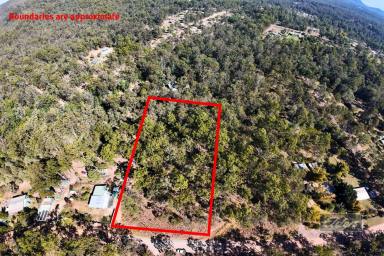 Residential Block For Sale - QLD - Glenwood - 4570 - THE PERFECT PLACE TO CALL HOME (Image 2)