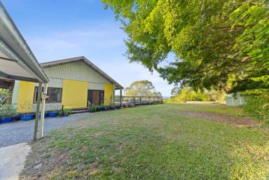 House For Sale - QLD - Cootharaba - 4565 - Noosa Hinterland Opportunity - Renovate, Invest or Enjoy (Image 2)
