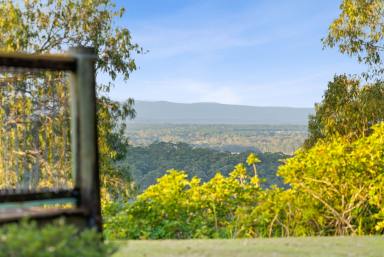 House For Sale - QLD - Cootharaba - 4565 - Noosa Hinterland Opportunity - Renovate, Invest or Enjoy (Image 2)