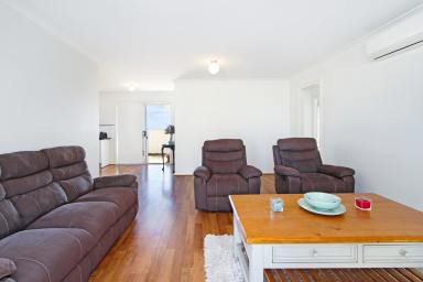 House For Lease - NSW - Tamworth - 2340 - Modern 3 Bedroom 2 Bathroom Villa in North Tamworth  (Image 2)