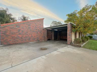 House For Sale - VIC - Swan Hill - 3585 - Room to Live & Space to Entertain - Generous Family Living with Private Courtyard  (Image 2)