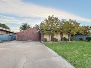 House For Sale - VIC - Swan Hill - 3585 - Room to Live & Space to Entertain - Generous Family Living with Private Courtyard  (Image 2)