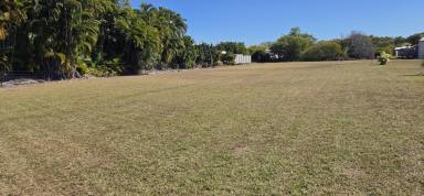 Residential Block For Sale - QLD - Forrest Beach - 4850 - EXPANISIVE BEACHSIDE ALLOTMENT AWAITS! (Image 2)