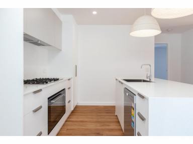 House For Lease - NSW - Tallwoods Village - 2430 - Modern 3 bedroom 2 bathroom Home  (Image 2)