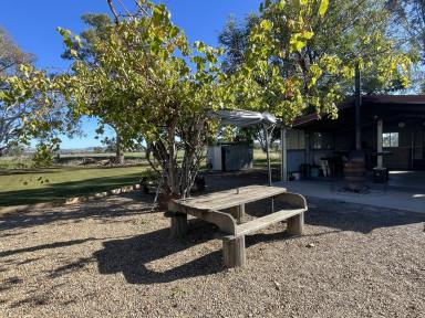 House For Sale - NSW - Nangus - 2722 - Tree Change with an Income!! (Image 2)