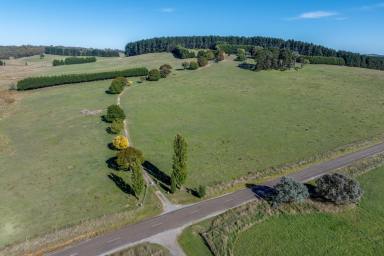 Other (Rural) For Sale - NSW - Taralga - 2580 - 'YELTAO' - Scale, quality country and genuine versatility. (Image 2)
