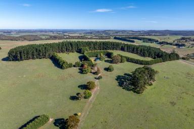 Other (Rural) For Sale - NSW - Taralga - 2580 - 'YELTAO' - Scale, quality country and genuine versatility. (Image 2)