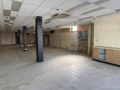 Retail For Lease - NSW - Bombala - 2632 - Prime Main Street Commercial Opportunity – Blank Canvas with Endless Potential (Image 2)