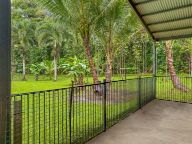 House For Sale - QLD - Daintree - 4873 - MORE THAN MEETS THE EYE... (Image 2)